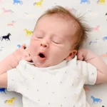 2-Week-Old Baby